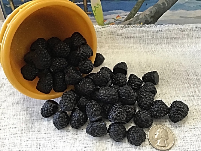 Large Blackberries