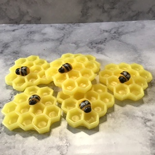 6 Wax honeycombs