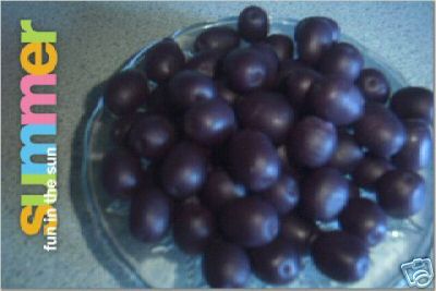 Purple Concord Grapes